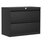 COZONY 2-Drawer Lateral File Cabinet, Lockable Metal Storage for Letter and Legal Size Documents